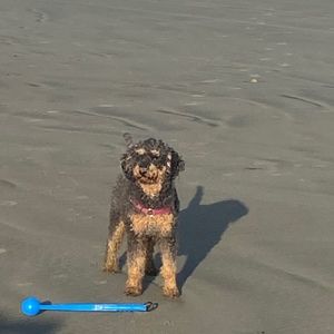 Meet your Posher, Erica